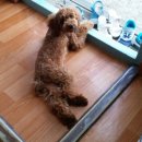 화우정식당 이미지