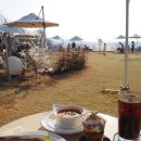 보은목장 | 청주 대형카페, 브런치맛집 에클로그