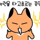 캠토토스트울산