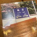 묵호 소품샵 ‘111호 프로젝트’ 추천, 엽서 구매후기, 묵호 가볼만한 곳