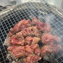 도봉-쌍문-도봉-1175 | 노포감성 가득 숯불에서 구운 양념소갈비가 맛있는 동적깡통구이 쌍문본점