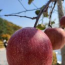 힐링 사주