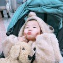 한림대학교성심병원 맞은편 성신약국 앞 | 음낭수종 수술 후기 : 증상 발견부터 회복까지, 평촌 한림대병원 우리 아이 경험 공유