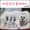 뚱띠레이 이미지