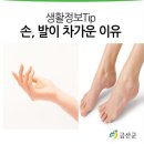 손발이 차가운 이유 이미지