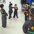 김포코리안주짓수종합격투기공권유술 네이버블로그