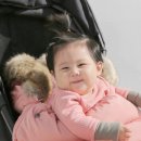 디어레스트