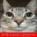 Xdinary Heroes &lt;Beautiful Mind&gt; World Tour in SEOUL 첫&amp;막콘 후기