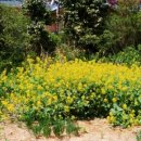 화산교회 이미지