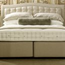 공금농장 이미지