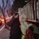 [2024.01-02] 이른 컴백