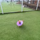 피플펜션 이미지