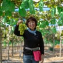 경산농장 이미지