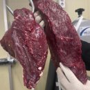 일소목장 이미지