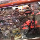 지호농장 이미지