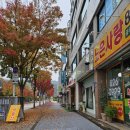 노은사랑공인중개사사무소 | 유성구 죽동 넓은 잔디 마당이 있는 평화로운 단독
