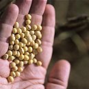 신토불이식품 이미지