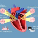 이유휘트니스 이미지