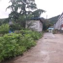 차산1리 이미지