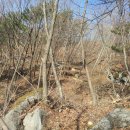 양호농장 이미지