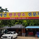 세연한우암소