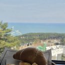 그림나무 | 울산 데이트 코스 간절곶 뷰 카페 그림나무 방문 후기ㅣ울산 드라이브 명소 카페 추천✨