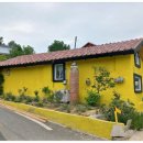 게스트하우스 노랑벽 이미지