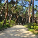 효행로481번길 | 화성 융릉과 건릉(융건릉) 역사적배경, 운영시간, 관람료