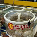 은성광고 | 내돈내산 가락시장 제철 알쭈꾸미 가격 및 실망 솔직후기