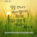 밀알 이미지