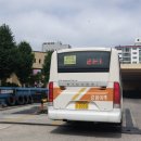 중앙시장(1207) 이미지