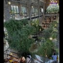 3243 | {청주, 디저트, 카페, 존맛, 추천!} 트리브링 청주 트리브링, 자연 속 힐링 카페