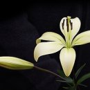 구천동주유소 이미지