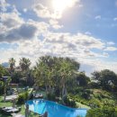 서귀포농업협동조합법환지점 | [제주도 서귀포] 오션뷰 비스비제주 앤 팜빌리지펜션(강력추천)_내돈내산