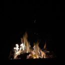 꿈애오토캠핑장 이미지