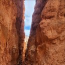 Brace Canyon National Park, 0922 이미지