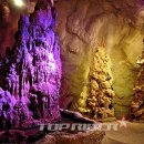 이안숲속야영장 이미지