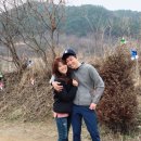 양평양떼목장 네이버블로그