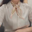 4. 기본 실크 블라우스 (여름 반팔, 간절기 긴팔)