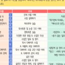 디베이트(토론)전문가(자격증) 이미지