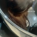 CU뉴둔산월드점 | 누워서 받는 시술이 있다고? 👀 대전 둔산동 미용실 ‘친초샵’ 체험기