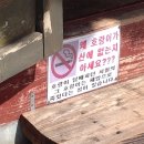청양나무시장 이미지