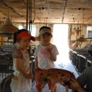 영현농장 이미지