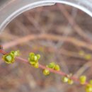 오늘도 스터디 이미지