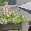 카이 호스텔 이미지