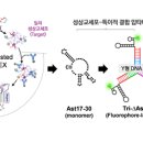 의료법인 일명의료재단 이미지