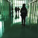 마스타카 이미지