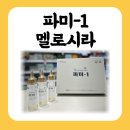 파미뷰티 이미지