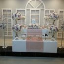 더파티스타 이미지