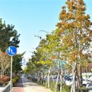 해운대 해변로 이미지